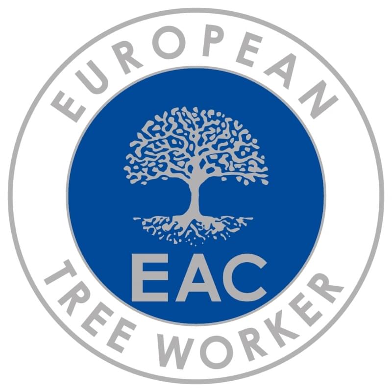 European tree worker in Marl